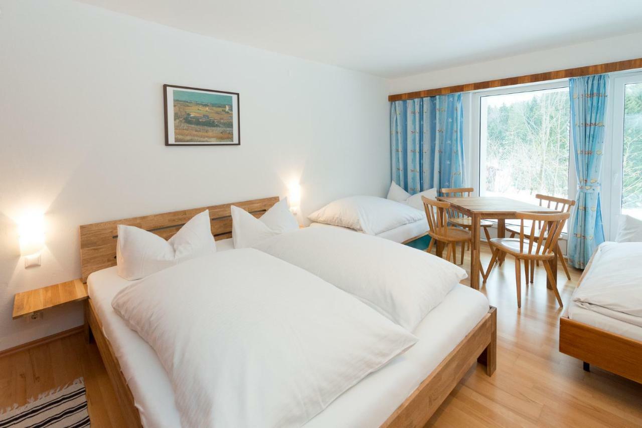 Apartmán Birkenhof - Schimek Bürserberg Exteriér fotografie